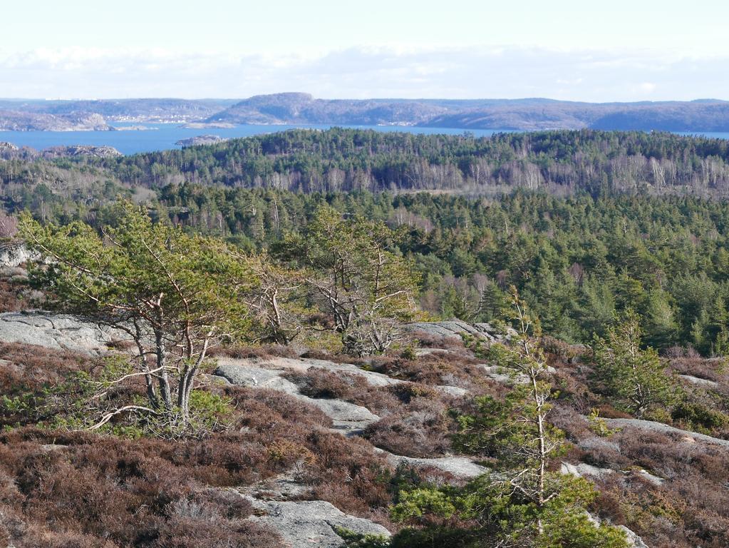 Lekanders Bär&Boende Tyfta Exterior foto
